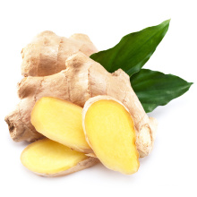 Hot Sale Chinese Ginger with Export Fresh Ginger